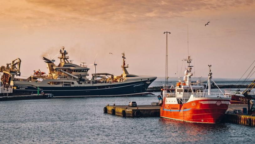 Thyborøn Havn - fiskeri