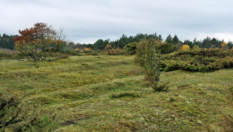 Stubber Kloster hulveje