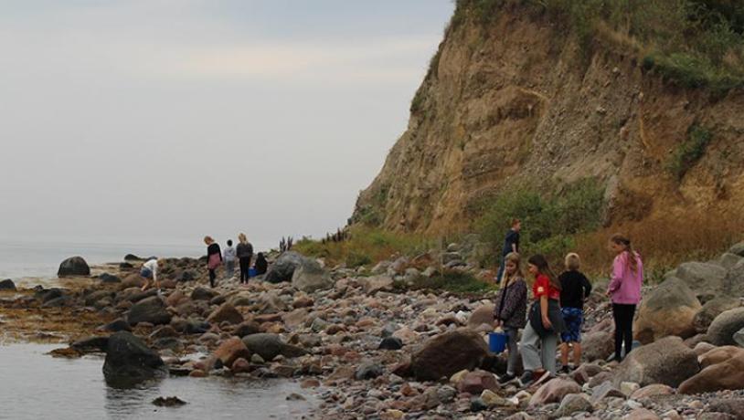 børn på strand ved klint