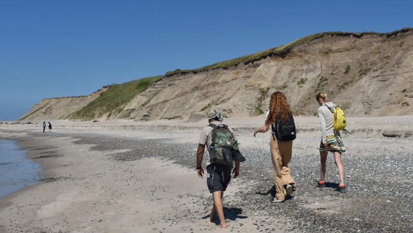 Mennesker går på Bovbjerg strand 