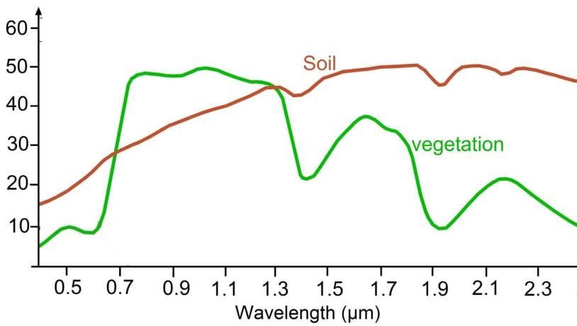 soil and vegetation near infrared spectra