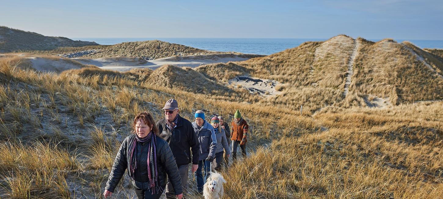 33. Husby Klitplantage | GeoparkVestjylland