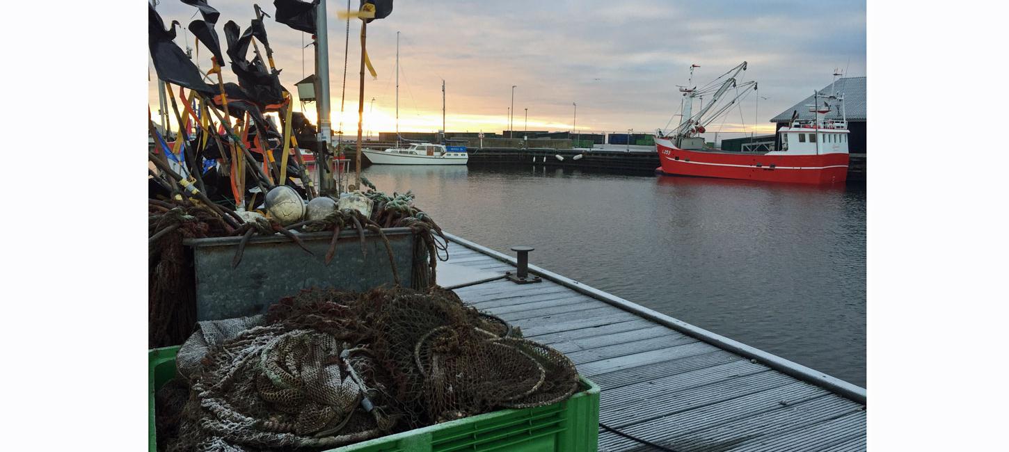 Jegindø Havn fiskeri