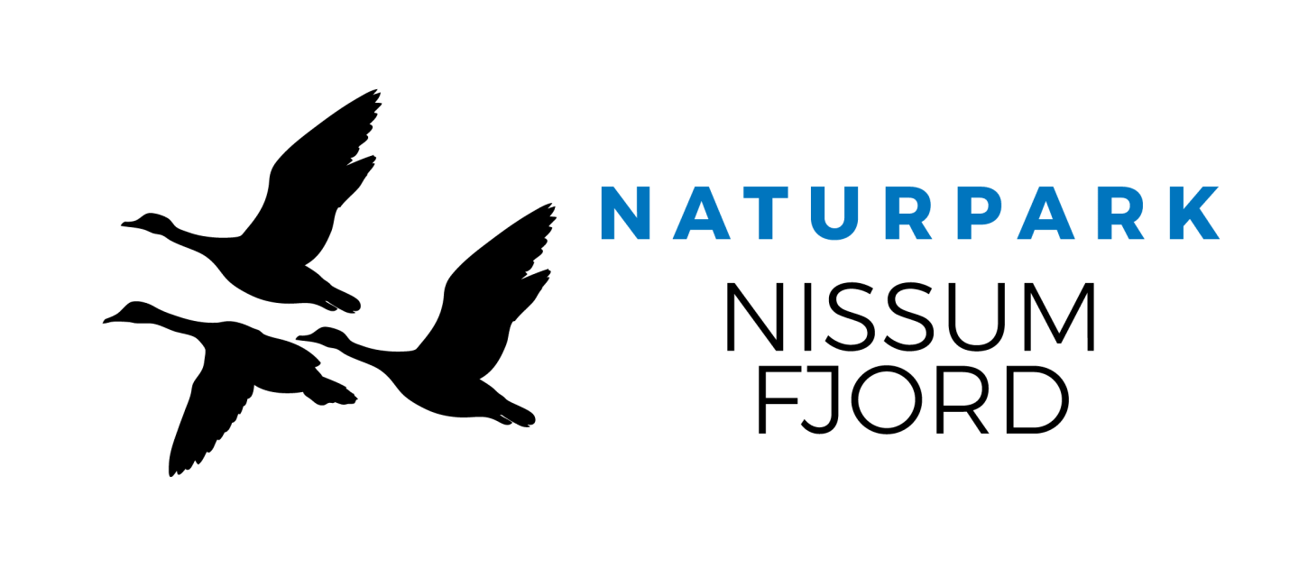 Logo NP NF3