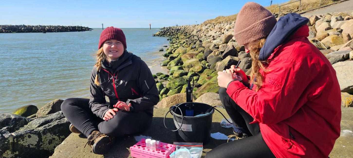 Nissum Fjord water samples