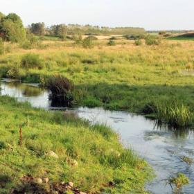 Idom Å - Omstrup Hede